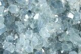 Sparkling Celestine (Celestite) Geode Section - Madagascar #364687-1